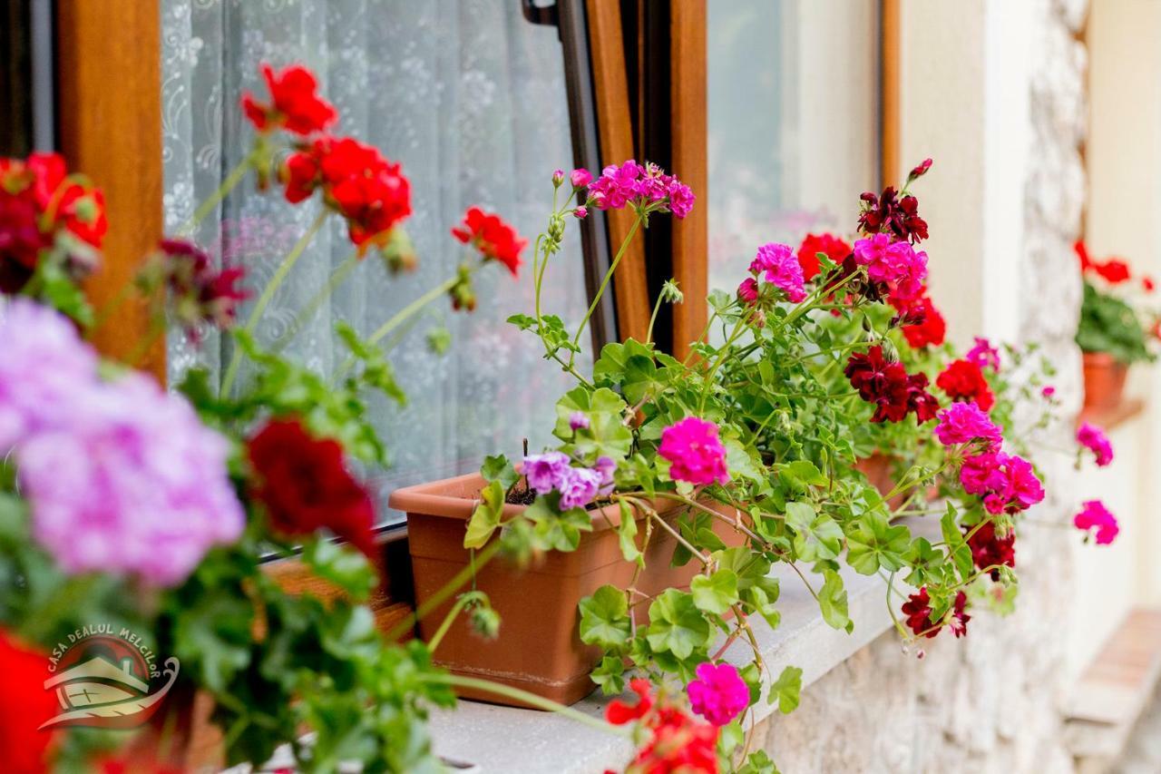 Casa Dealul Melcilor Hotel Braşov Eksteriør billede