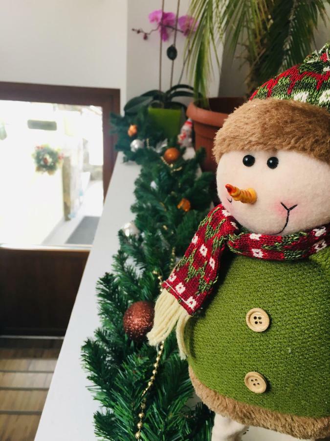 Casa Dealul Melcilor Hotel Braşov Eksteriør billede